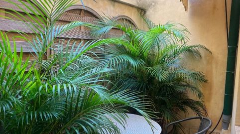 Piso de alquiler en Calle Carrer de Sant Agustí, 7, El Sindicat, Palma de Mallorca - imagen 2 Foto 2 de Piso de alquiler en Calle Carrer de Sant Agustí, 7, El Sindicat, Palma de Mallorca
