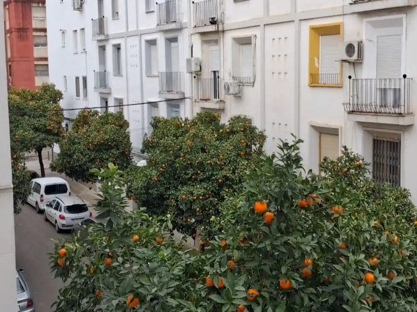 Habitación en Calle José María Valdenebro, 25, Ciudad Jardín - Zoco Habitación en Calle José María Valdenebro, 25, Ciudad Jardín - Zoco