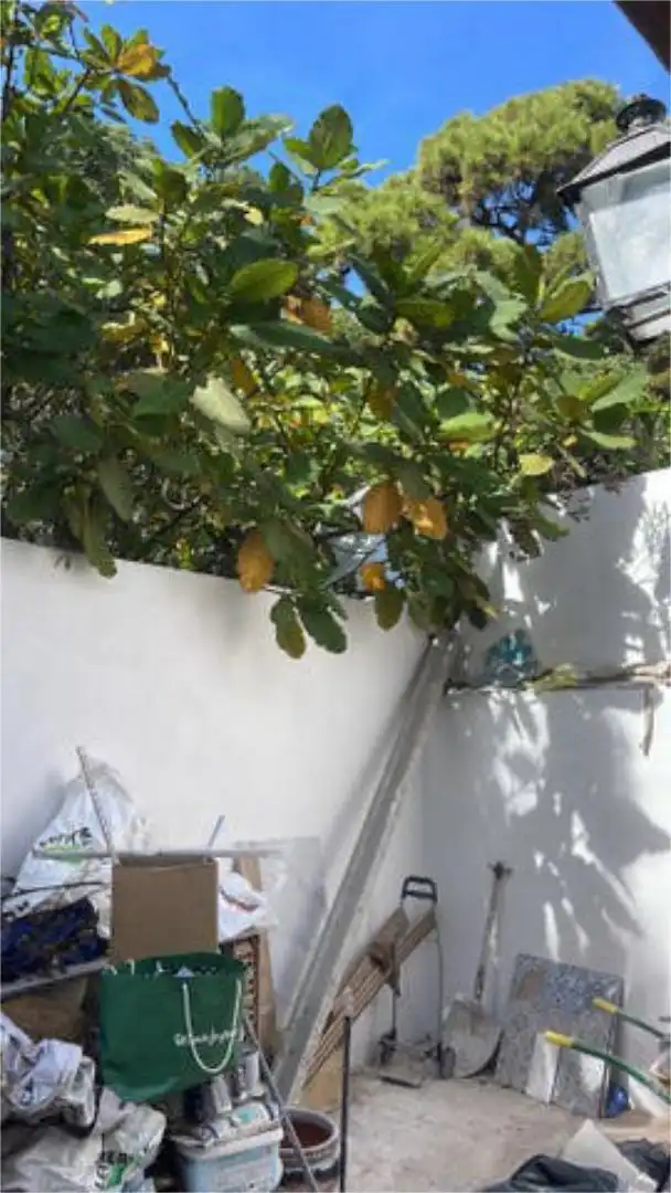 Casa adosada de alquiler en La Carolina - Guadalpín Jardín de Casa adosada de alquiler en Marbella con Calefacción, Jardín privado y Terraza