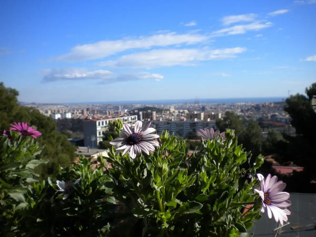 Exterior view of Flat for sale in  Barcelona Capital  with Air Conditioner
