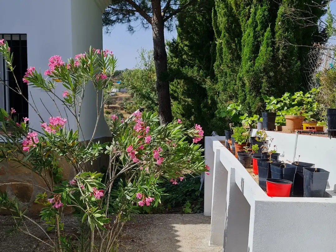 Piso en venta en Osuna, 13, Los Lagos Terraza de Piso en venta en Guillena con Aire acondicionado, Calefacción y Jardín privado