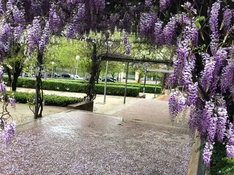Vista exterior de Pis en venda en  Madrid Capital amb Terrassa i Piscina