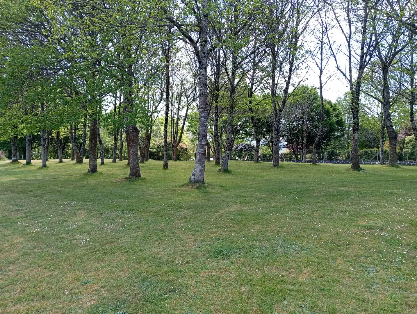 Jardín de Casa o chalet en venta en Lugo con Calefacción, Jardín privado y Terraza