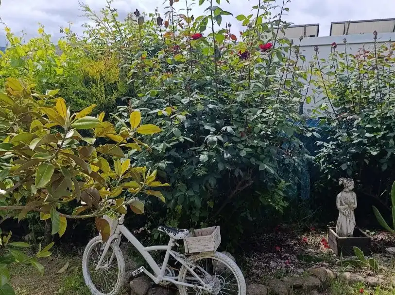 Finca rústica en venta en Diseminado Ribafrecha, 119, Ribafrecha