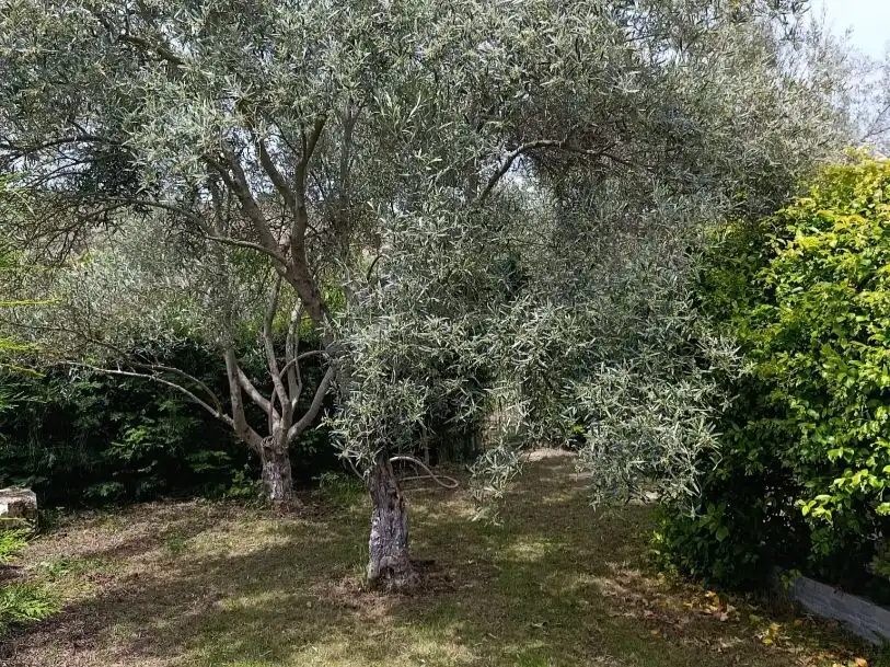 Finca rústica en venta en Diseminado Ribafrecha, 119, Ribafrecha