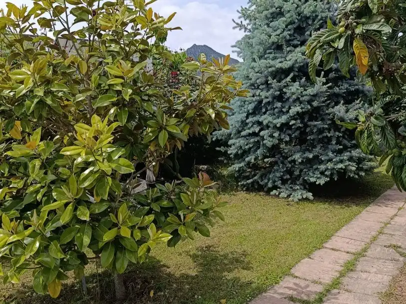 Finca rústica en venta en Diseminado Ribafrecha, 119, Ribafrecha
