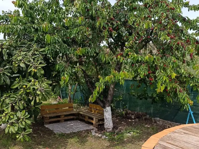 Finca rústica en venta en Diseminado Ribafrecha, 119, Ribafrecha