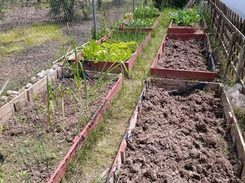 Finca rústica en venta en Diseminado Ribafrecha, 119, Ribafrecha