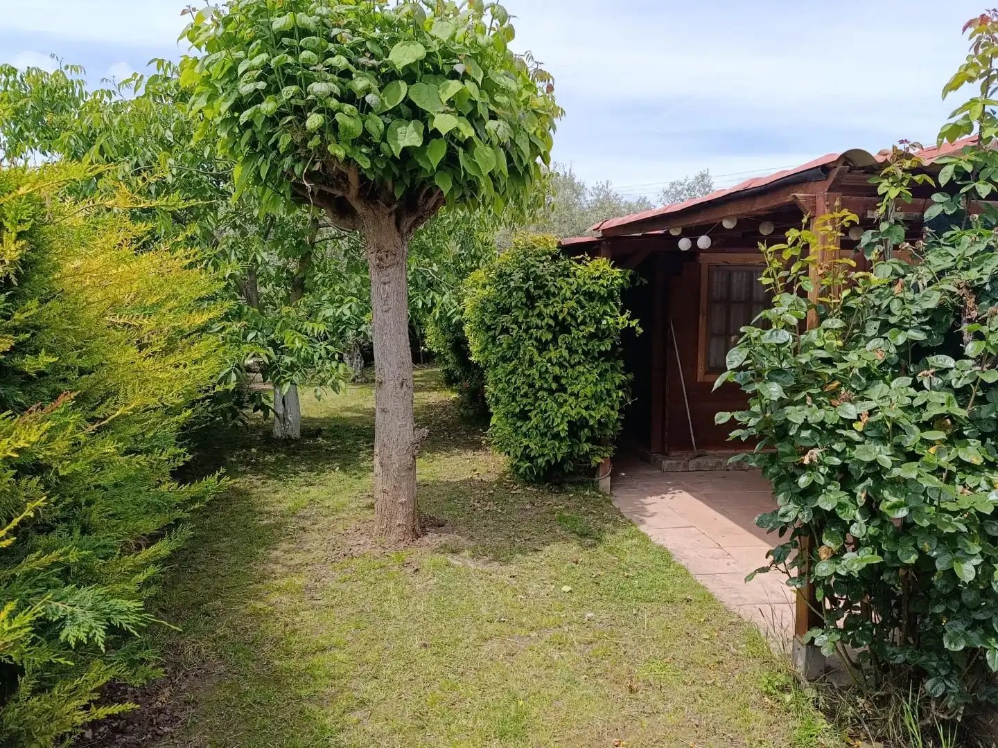Finca rústica en venta en Diseminado Ribafrecha, 119, Ribafrecha