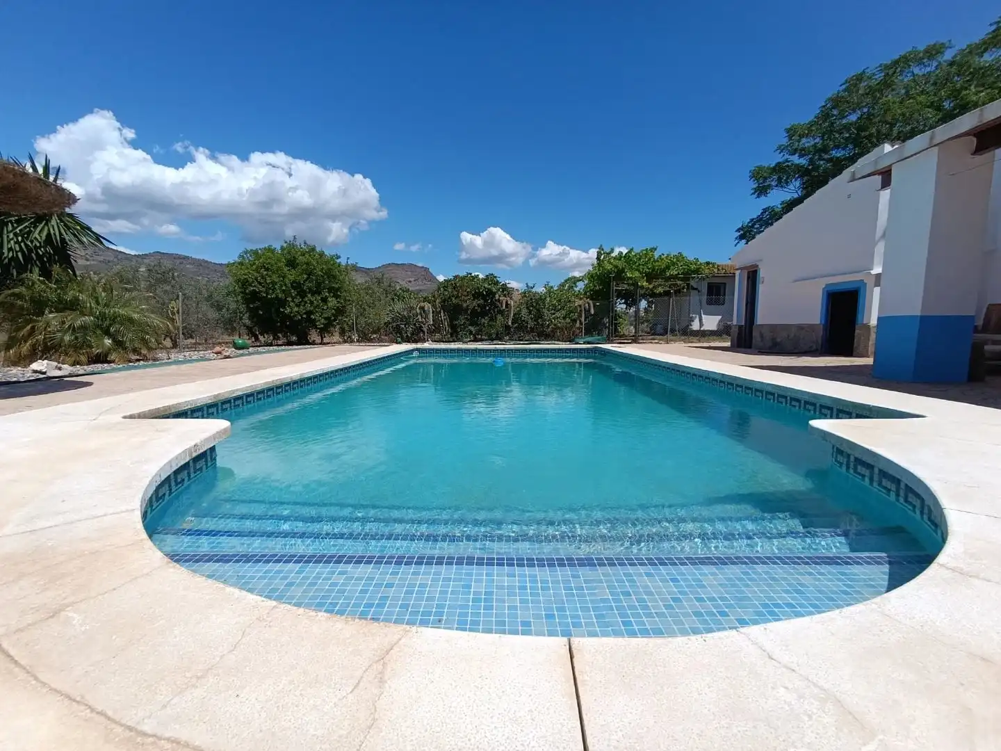 Finca rústica en venda a Barriada Los Caballos, 1, Álora Piscina de Finca rústica en venda en Álora amb Terrassa i Piscina