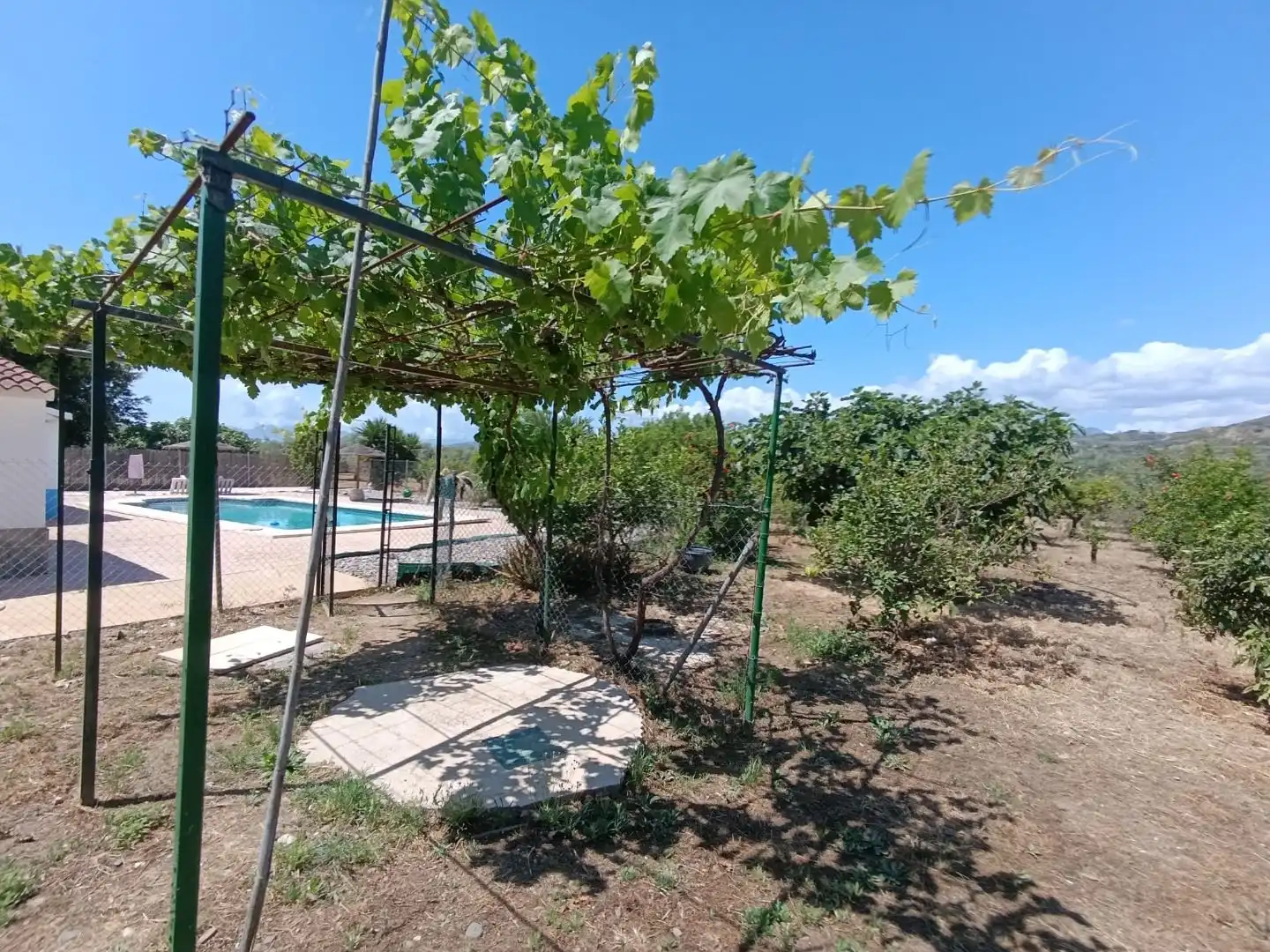 Finca rústica en venda a Barriada Los Caballos, 1, Álora Finca rústica en venda en Álora amb Terrassa i Piscina