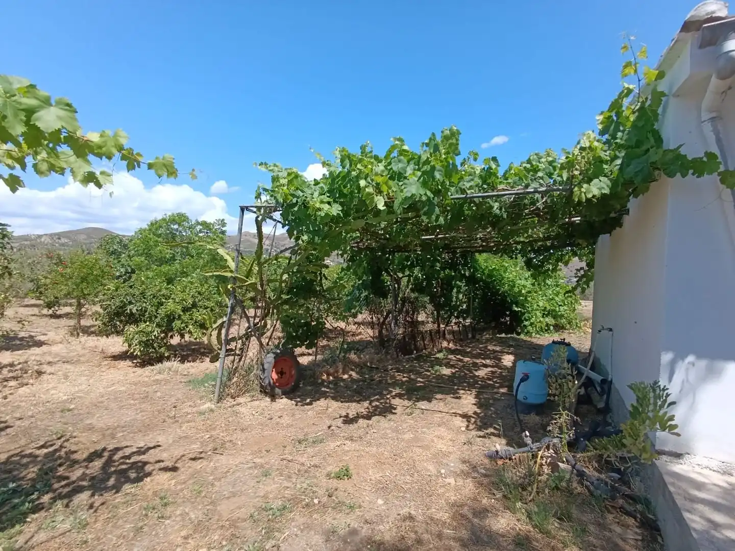 Finca rústica en venda a Barriada Los Caballos, 1, Álora Finca rústica en venda en Álora amb Terrassa i Piscina