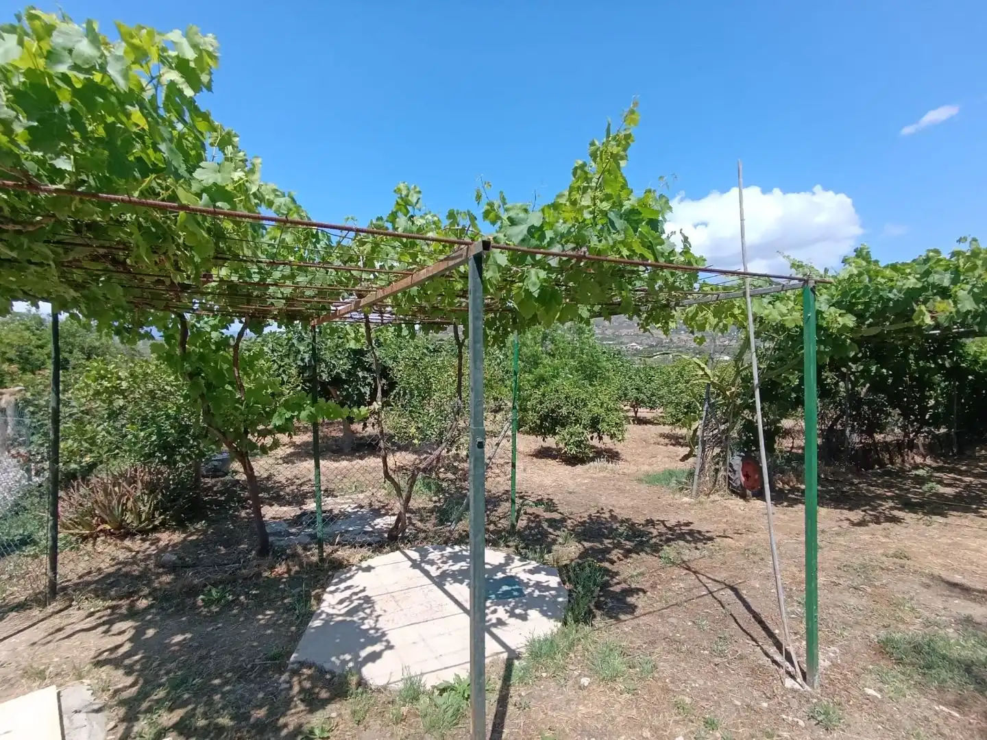 Finca rústica en venda a Barriada Los Caballos, 1, Álora Finca rústica en venda en Álora amb Terrassa i Piscina
