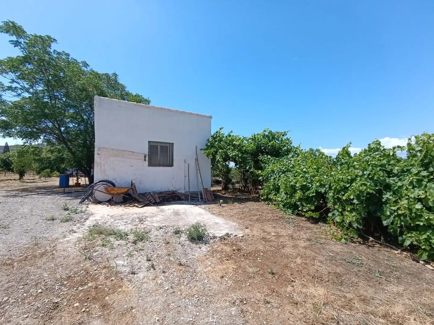 Finca rústica en venda a Barriada Los Caballos, 1, Álora Finca rústica en venda en Álora amb Terrassa i Piscina