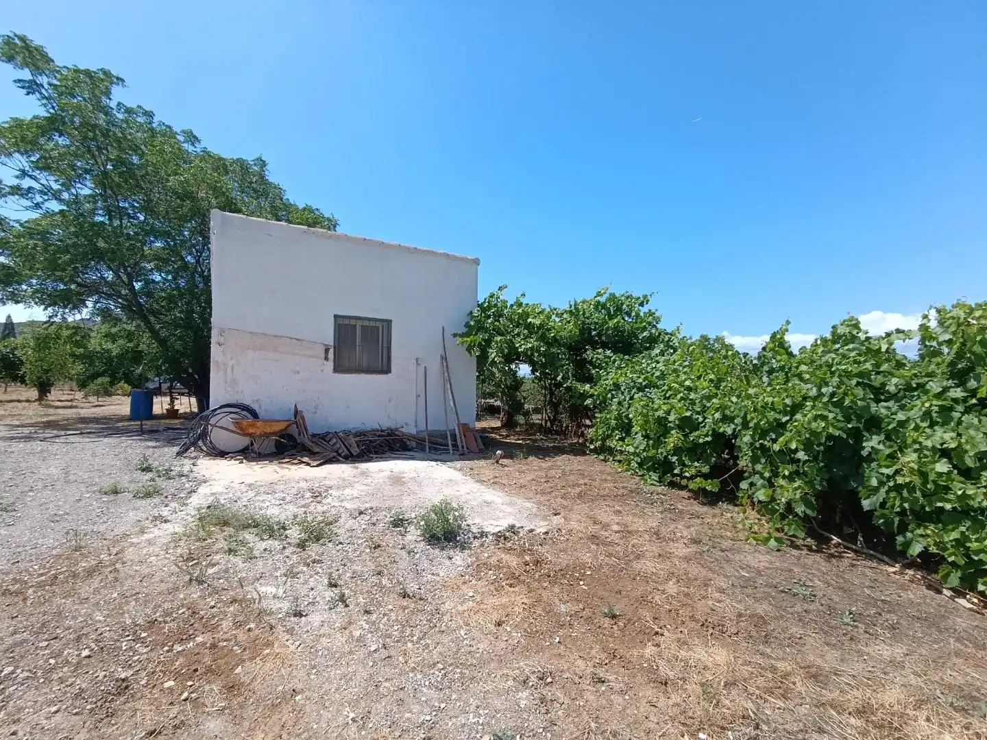 Finca rústica en venda a Barriada Los Caballos, 1, Álora Finca rústica en venda en Álora amb Terrassa i Piscina