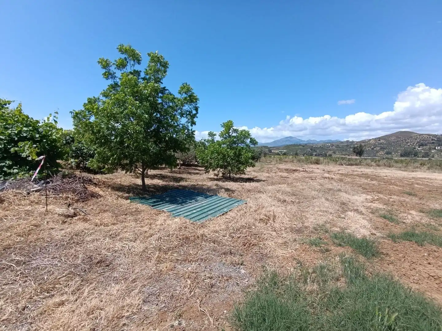 Finca rústica en venda a Barriada Los Caballos, 1, Álora Finca rústica en venda en Álora amb Terrassa i Piscina