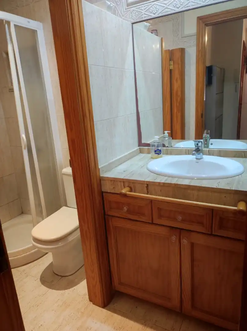 Flat for sale in Calle Mariana Pineda, 23, Santa Catalina - Canteras Bathroom of Flat for sale in Las Palmas de Gran Canaria