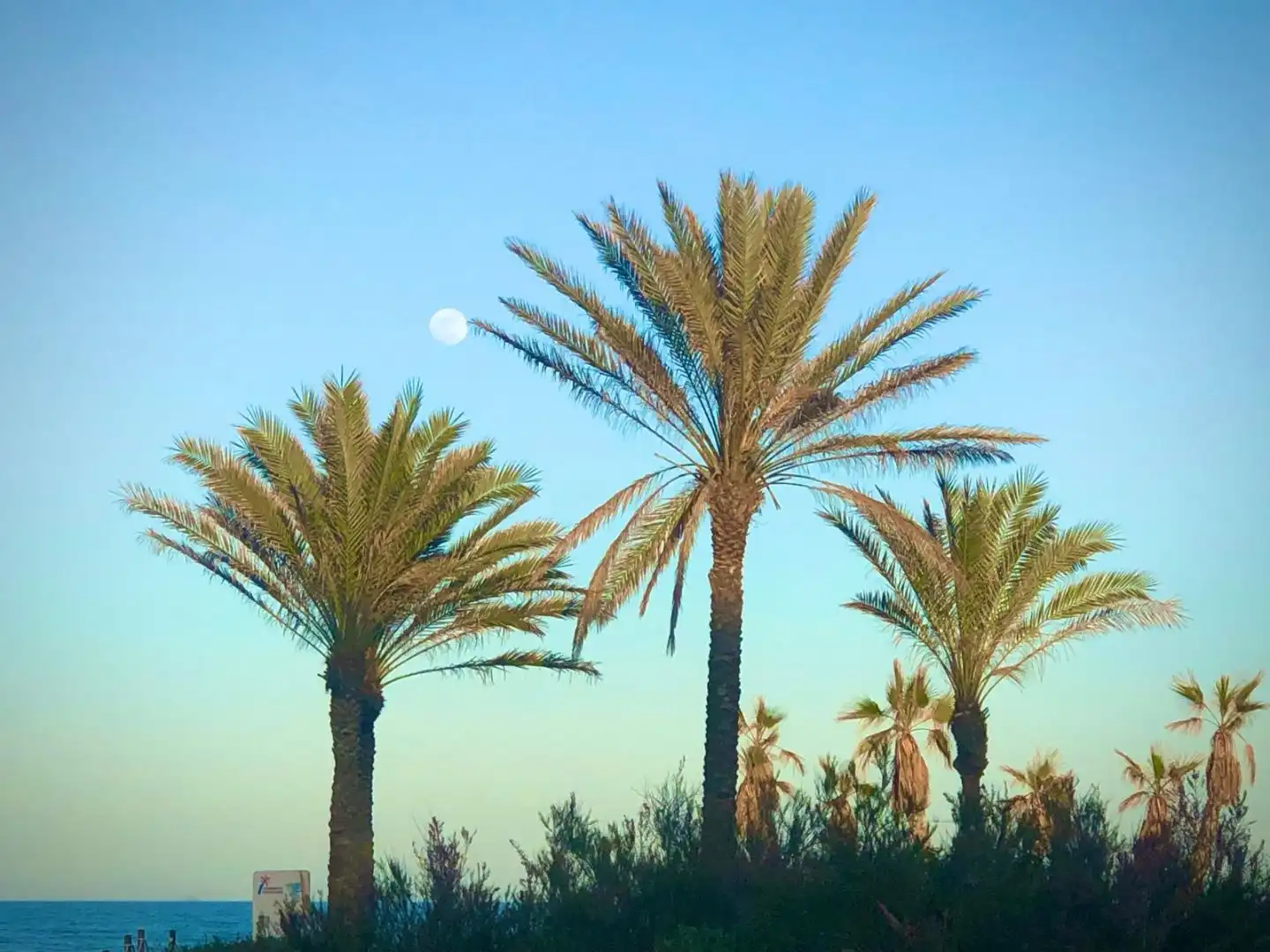 Vista exterior de Pis de lloguer en Canet d'En Berenguer amb Aire condicionat, Calefacció i Jardí privat