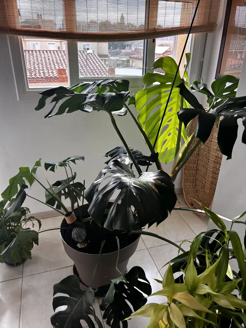 Garten von Wohnung zum Verkauf in Montbrió del Camp mit Klimaanlage und Terrasse