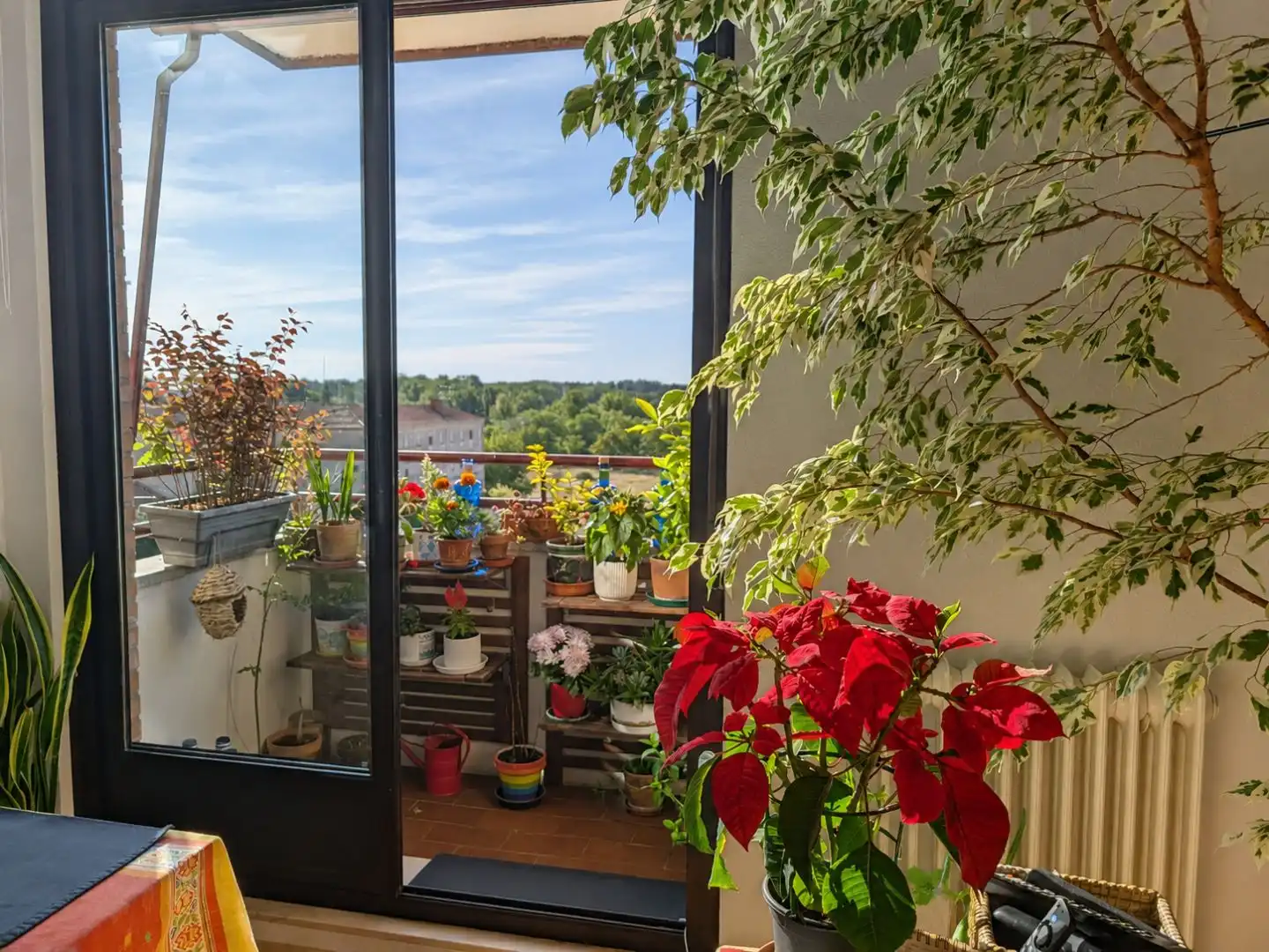 Terraza de Piso en venta en Salamanca Capital con Balcón