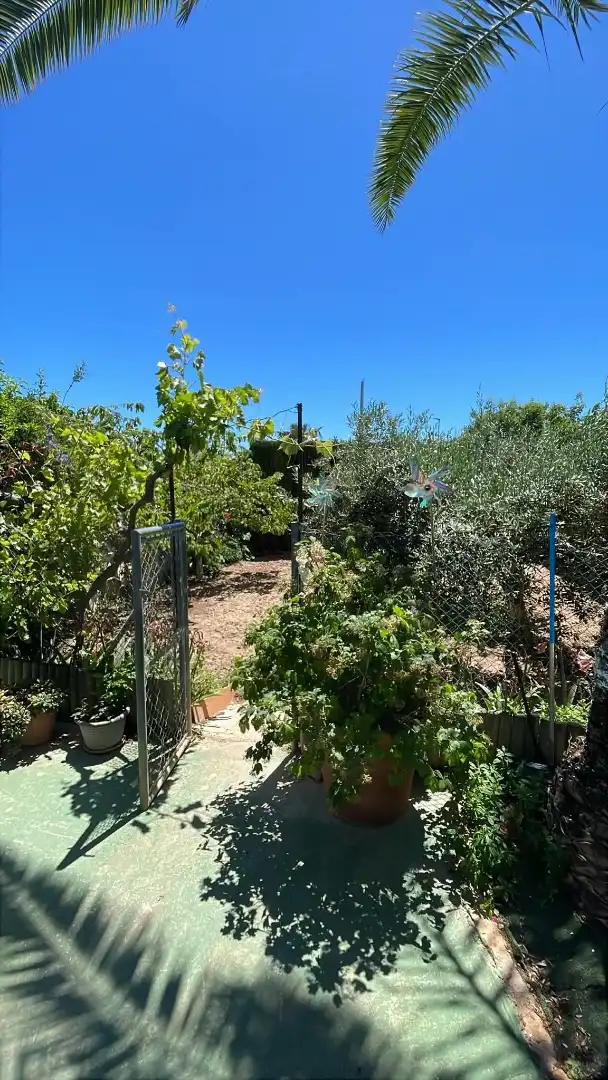 Wohnung zum Verkauf in Avinguda Sant Rafel, 15, Escandinavia - Cautivador Garten von Wohnung zum Verkauf in L'Alfàs del Pi mit Klimaanlage, Privatgarten und Terrasse
