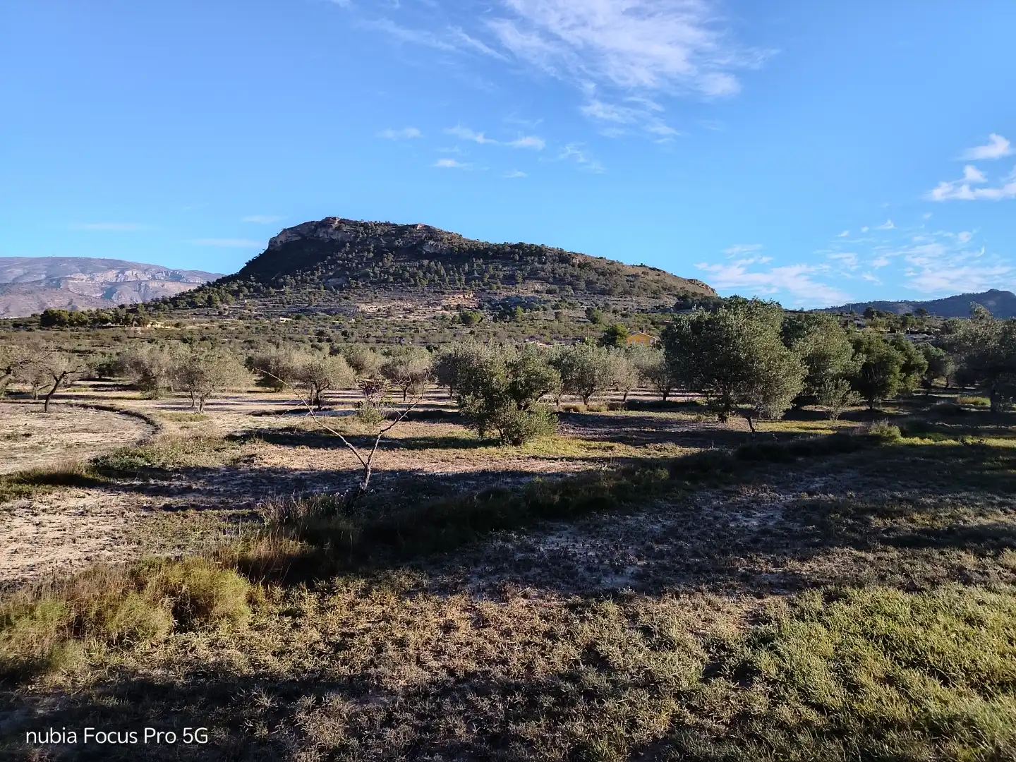 Trastero de alquiler en Relleu
