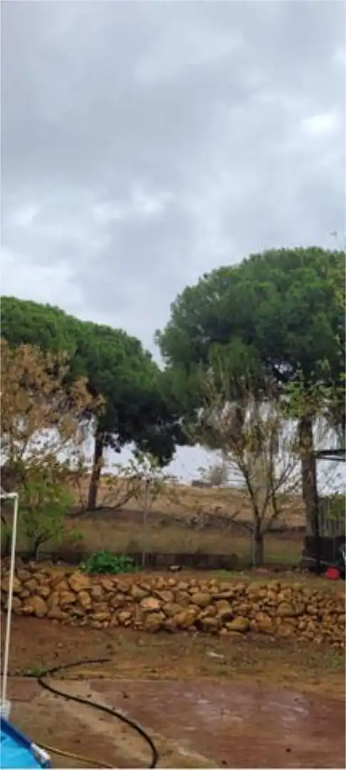 Casa o chalet de alquiler en El Viso del Alcor con Piscina