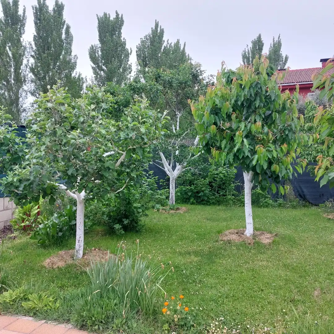 Casa o chalet en venta en Calle Camino Hondo, 1, Castrillo del Val Jardín de Casa o chalet en venta en Castrillo del Val con Calefacción, Jardín privado y Terraza