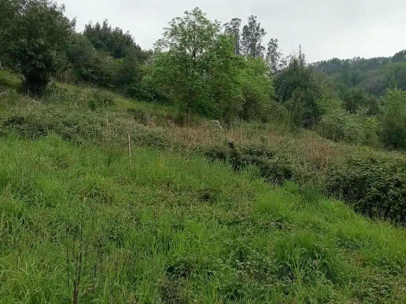Wohnung zum Verkauf in Oviedo  mit Privatgarten, Terrasse und Abstellraum