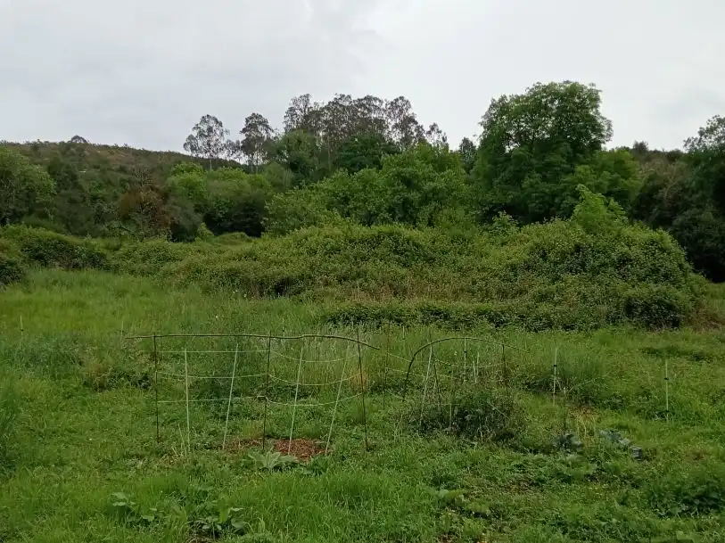 Wohnung zum Verkauf in Oviedo  mit Privatgarten, Terrasse und Abstellraum