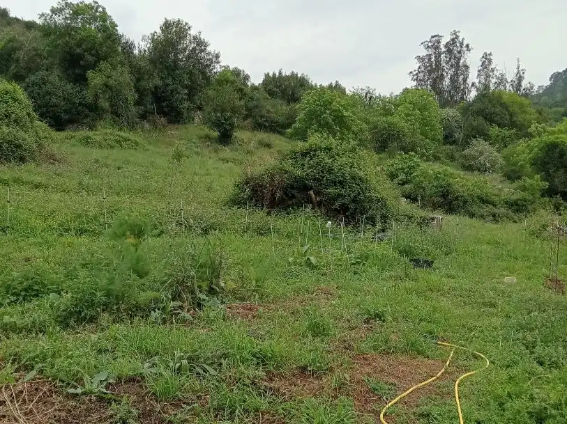 Wohnung zum Verkauf in Oviedo  mit Privatgarten, Terrasse und Abstellraum