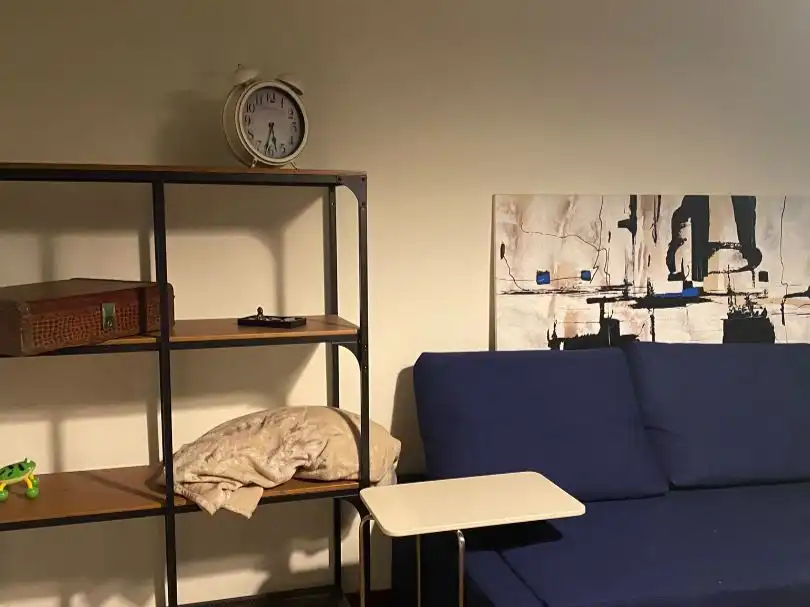 Sala d'estar de Pis de lloguer en Valencia amb Aire condicionat, Calefacció i Moblat