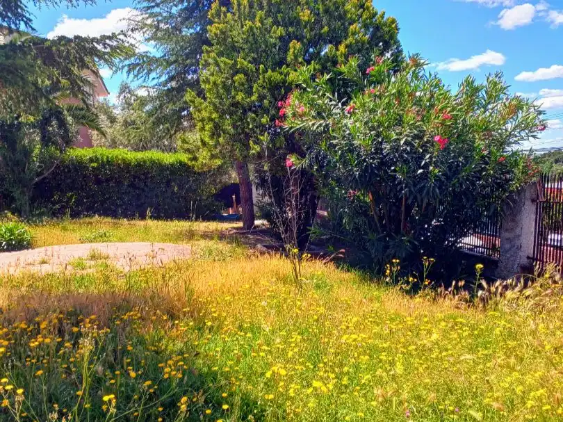 Jardí de Casa o xalet en venda en Paracuellos de Jarama amb Aire condicionat, Calefacció i Jardí privat