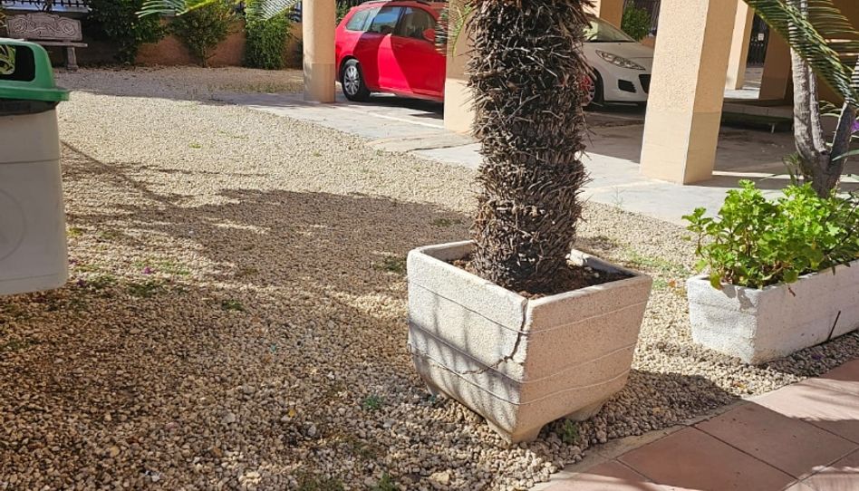Wohnung zur Miete in Calle Sax, 10, Gran Playa, Santa Pola - Bild 1 Foto 1 von Wohnung zur Miete in Calle Sax, 10, Gran Playa, Santa Pola