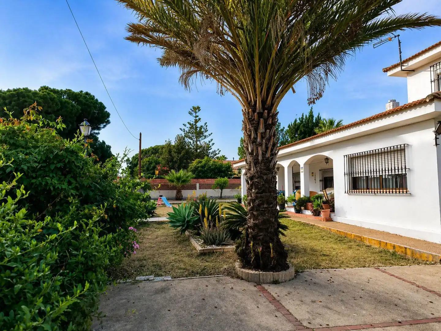 Casa o chalet en venta en Calle el Pinar, 5, Palos de la Frontera Vista exterior de Casa o chalet en venta en Palos de la Frontera con Jardín privado