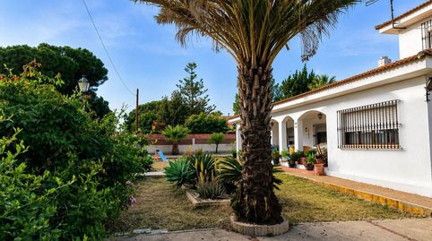 Casa o chalet en venta en Calle el Pinar, 5, Palos de la Frontera, Huelva - imagen 2 Foto 2 de Casa o chalet en venta en Calle el Pinar, 5, Palos de la Frontera, Huelva