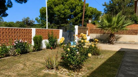Casa o chalet en venta en Calle el Pinar, 5, Palos de la Frontera, Huelva - imagen 3 Foto 3 de Casa o chalet en venta en Calle el Pinar, 5, Palos de la Frontera, Huelva