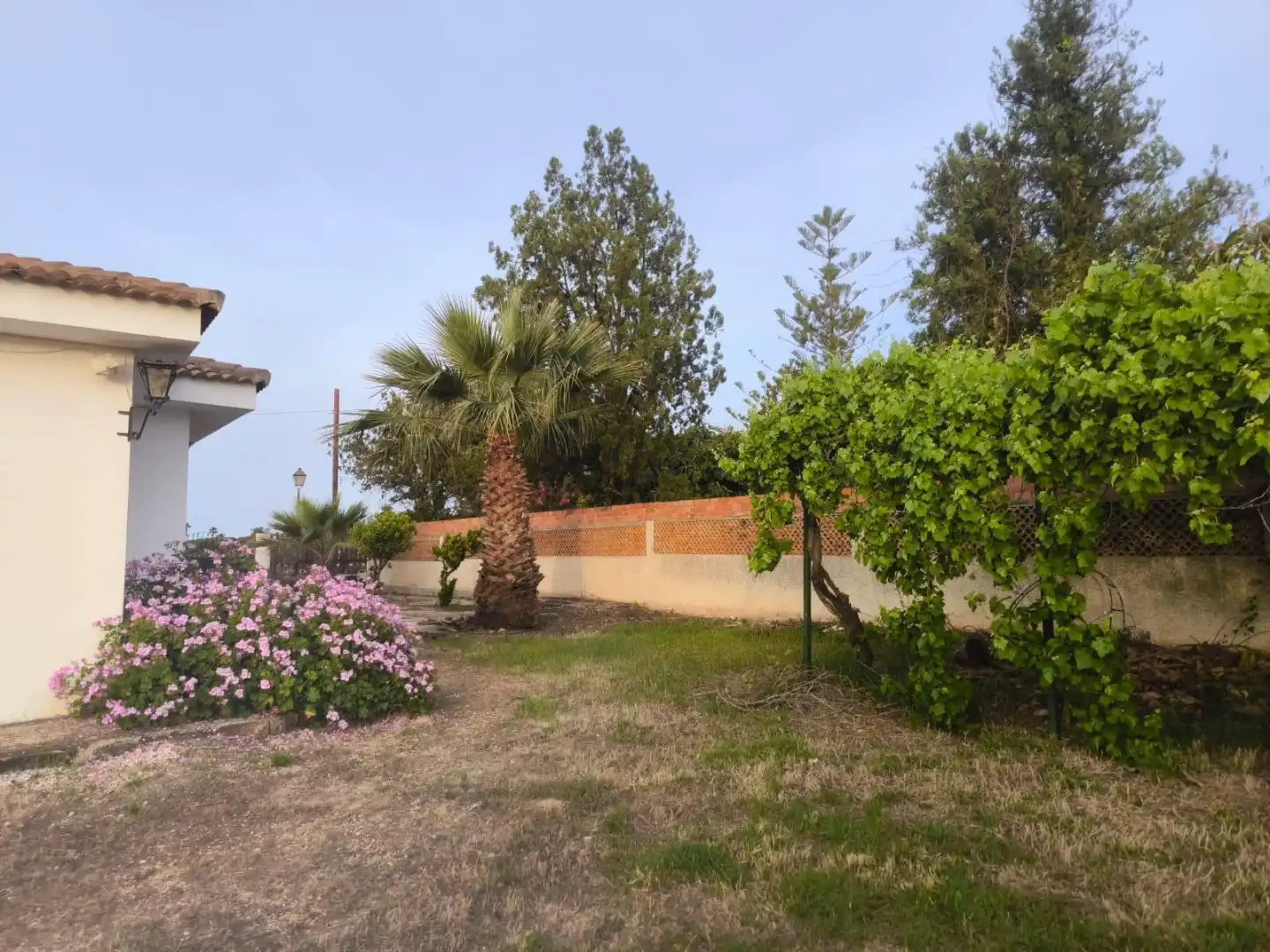 Casa o chalet en venta en Calle el Pinar, 5, Palos de la Frontera Jardín de Casa o chalet en venta en Palos de la Frontera con Jardín privado