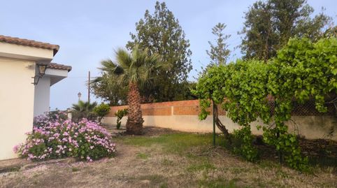 Casa o chalet en venta en Calle el Pinar, 5, Palos de la Frontera, Huelva - imagen 4 Foto 4 de Casa o chalet en venta en Calle el Pinar, 5, Palos de la Frontera, Huelva