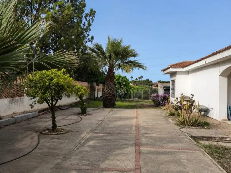 Casa o chalet en venta en Calle el Pinar, 5, Palos de la Frontera Vista exterior de Casa o chalet en venta en Palos de la Frontera con Jardín privado