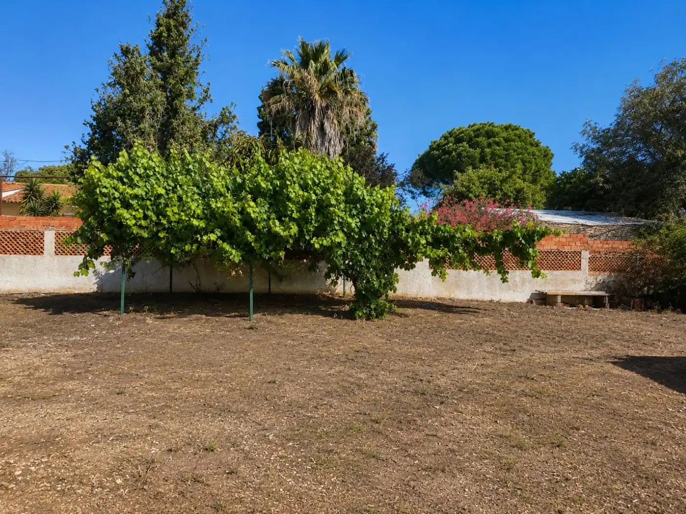 Casa o chalet en venta en Calle el Pinar, 5, Palos de la Frontera Casa o chalet en venta en Palos de la Frontera con Jardín privado
