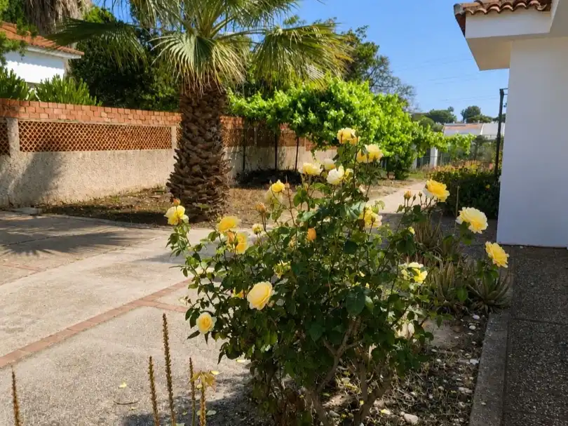 Casa o chalet en venta en Calle el Pinar, 5, Palos de la Frontera Jardín de Casa o chalet en venta en Palos de la Frontera con Jardín privado