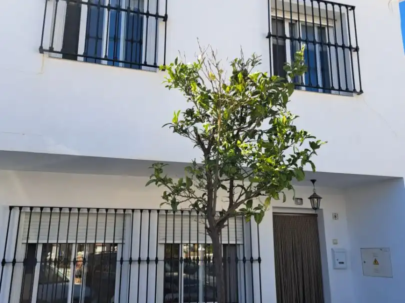 Vista exterior de Casa adosada en venta en Mijas con Aire acondicionado