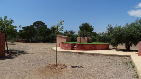 Finca rústica de lloguer a Carretera Nacional N-340, 1144, La Dorada, Cambrils - imatge 5 Foto 5 de Finca rústica de lloguer a Carretera Nacional N-340, 1144, La Dorada, Cambrils
