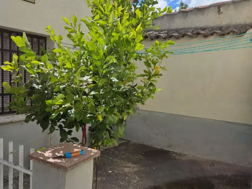 Casa adosada en venta en Calle Victoria, 16, Marjaliza Jardín de Casa adosada en venta en Marjaliza