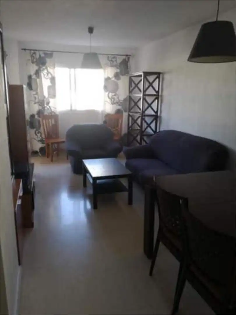 Living room of Flat for rent in Málaga  with Terrace, Swimming Pool and Furnished