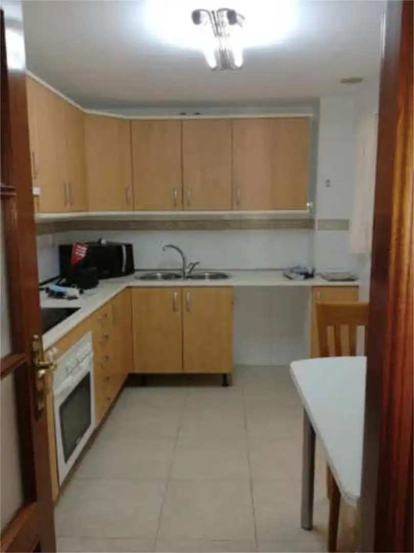 Kitchen of Flat for rent in Málaga  with Terrace, Swimming Pool and Furnished
