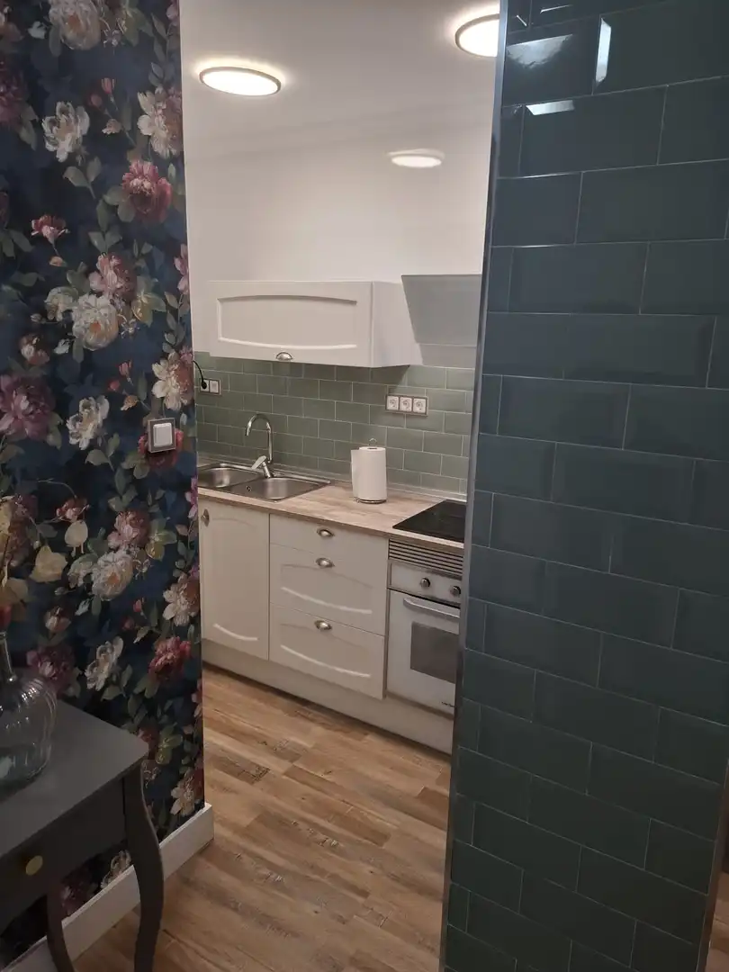 Cocina de Apartamento de alquiler en Almería con Aire acondicionado, Calefacción y Parquet