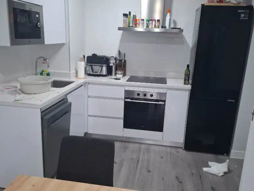 Flat for rent in Calle Santiago Rusiñol, 45, Rosaleda - Juventud