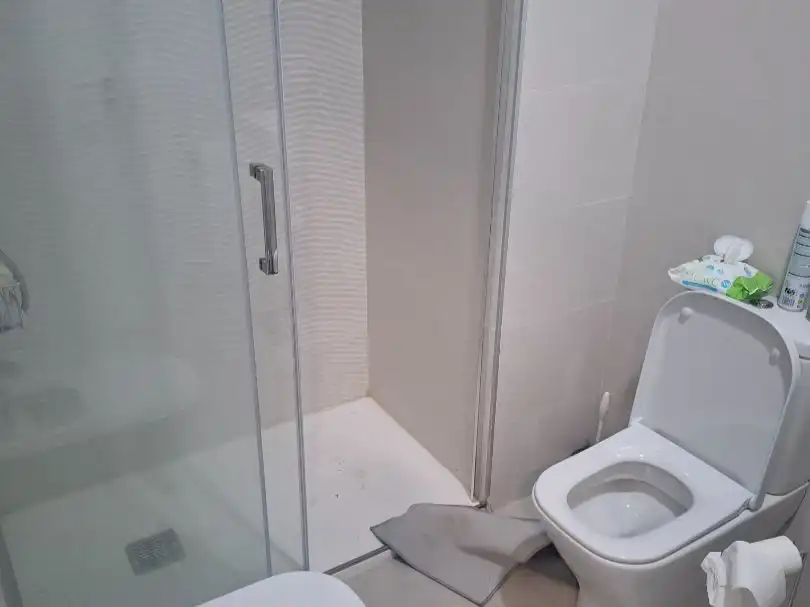 Flat for rent in Calle Santiago Rusiñol, 45, Rosaleda - Juventud